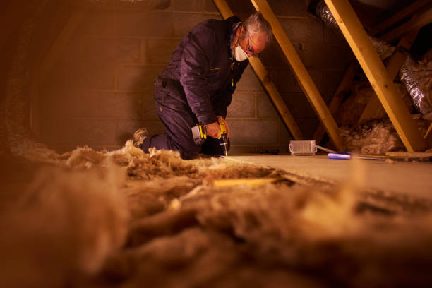Types of Insulation We Offer in Reedley, CA